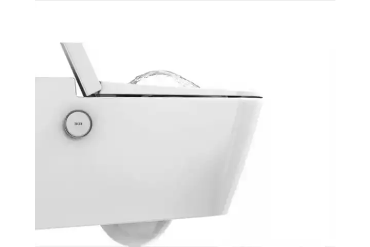 унитазы с функцией биде